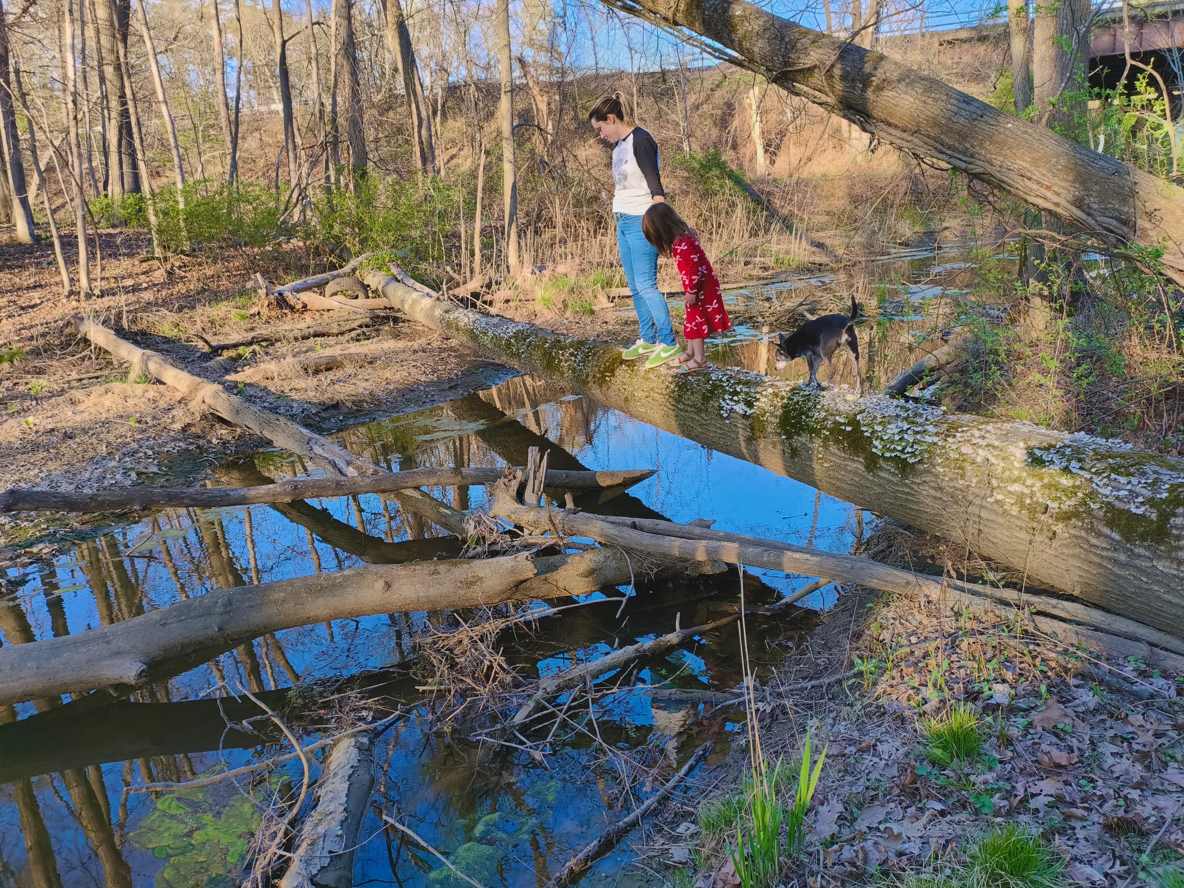 Stream running through the property